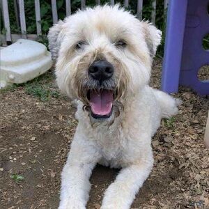 Meet your Posher, Jocelyn